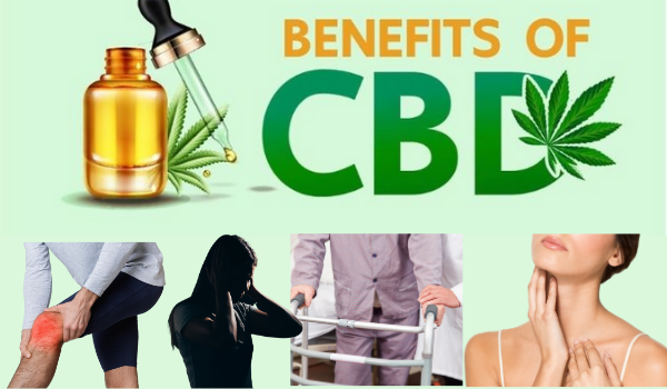 All You Need To Know About CBD - Complete Guide